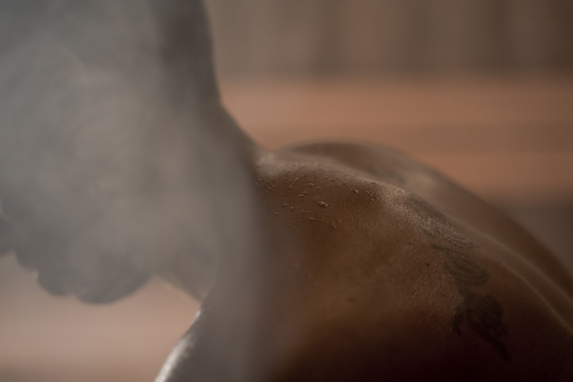 Sauna work in Emeryville